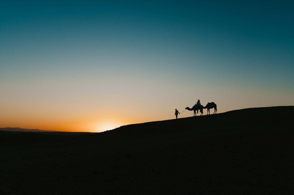 Wide frame of bride on camel and groom pulling two camels at sunset in the Agafay Desert. 